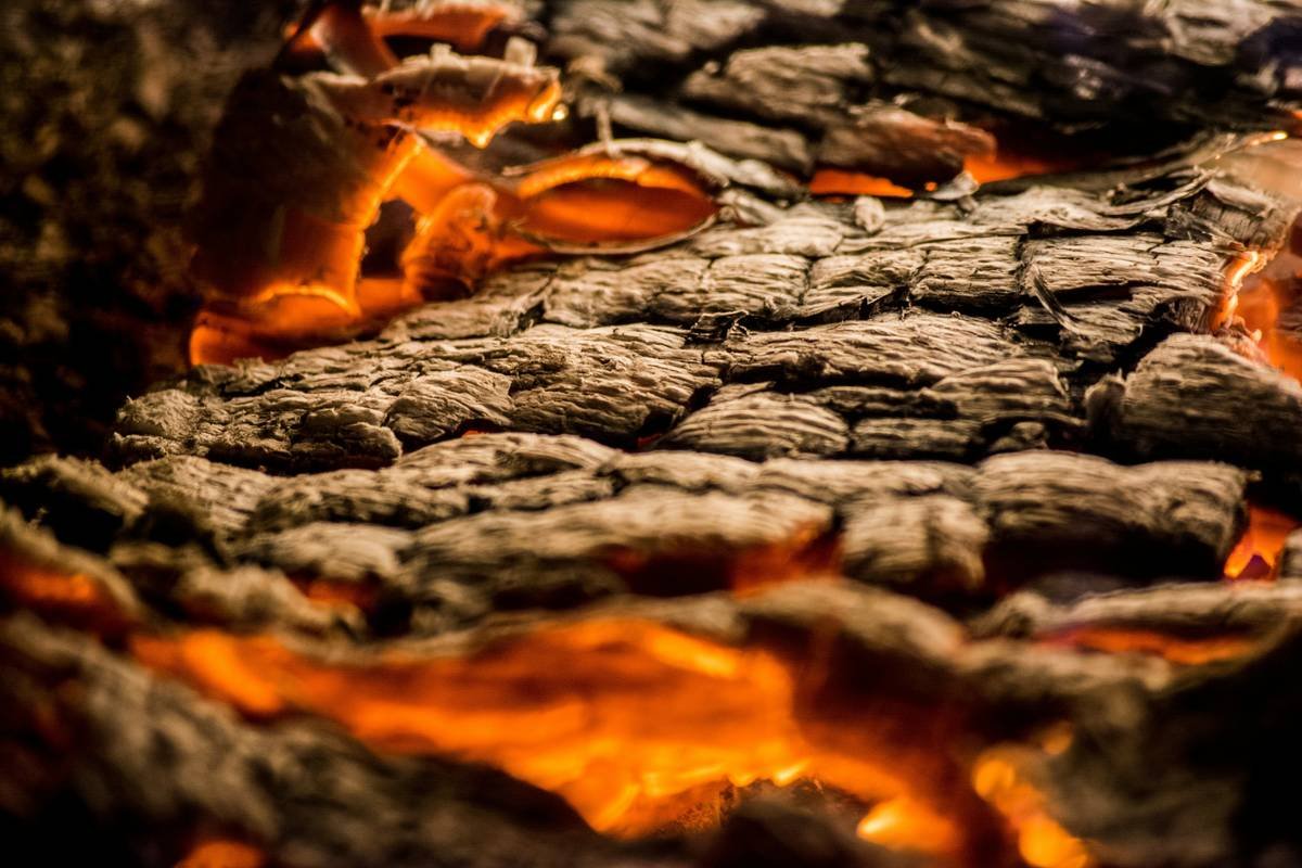 close up of burning wood