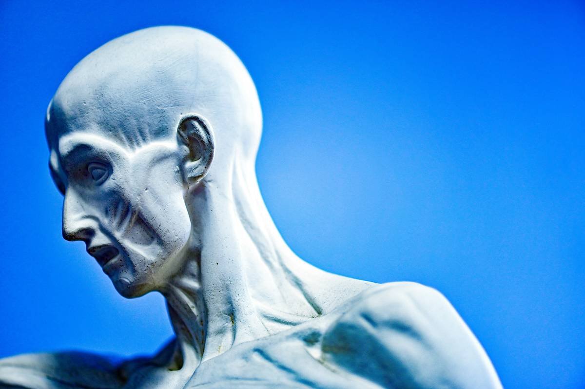 Side-by-side comparison of failed vs successful prosthetic makeup for aliens highlighting seam integrity and material choice